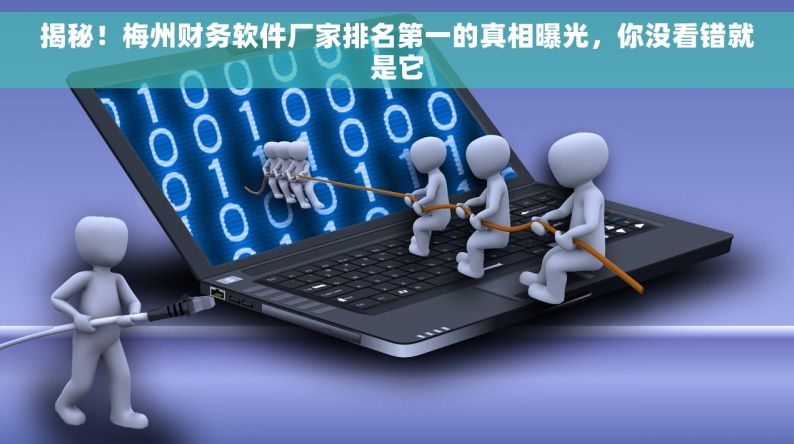 揭秘！梅州財(cái)務(wù)軟件廠家排名第一的真相，你沒看錯(cuò)就是它